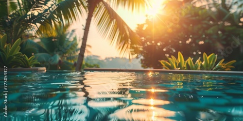 A pool with a palm tree in the background and the sun shining on the water