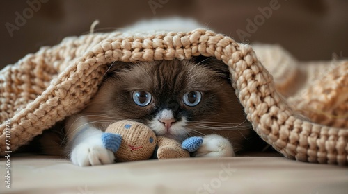 A grumpy cat hides under a blanket, refusing to share its favorite toy mouse small