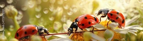 A ladybug orchestra playing tiny instruments on a flower petal stage small