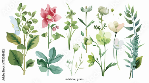 Composition of isolated watercolor botanical graphic