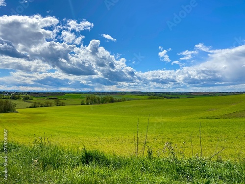 zielone pole i błękitne niebo