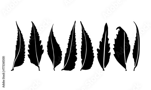 neem imprints leaves design. neem leafs vector. neem silhouette vector. 