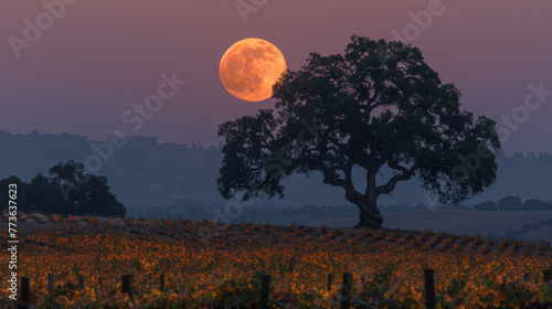 A lone oak tree stands tall against the backdrop of a full harvest moon casting shadows across the gvines below. . .