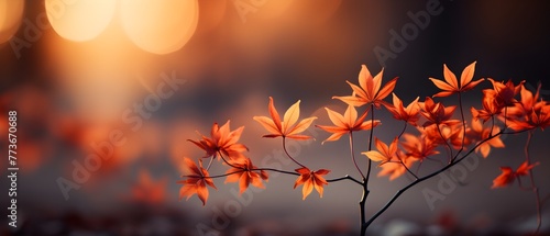 Autumn background with border of orange, gold and red maple leaves on nature park on background of sunlight with soft blurred beautiful bokeh