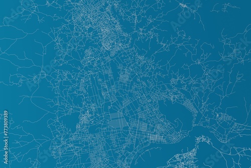 Map of the streets of Bangui (Central African Republic) made with white lines on blue background. 3d render, illustration