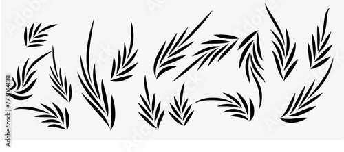 set of silhouettes of floral leaves 