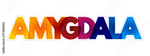 Amygdala is the integrative center for emotions, emotional behavior, and motivation, colourful text concept background