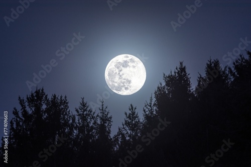 Closeup shot of the stunning supermoon over trees at night