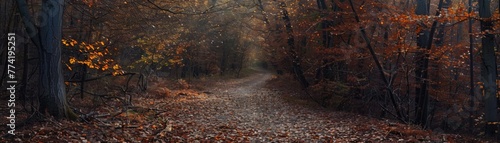 A serene path through an autumn forest