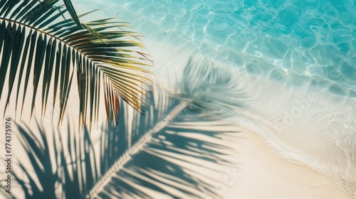 Top view of tropical leaf shadow on water surface. Shadow of palm leaves on white sand beach. Beautiful abstract background concept banner for summer vacation at the beach