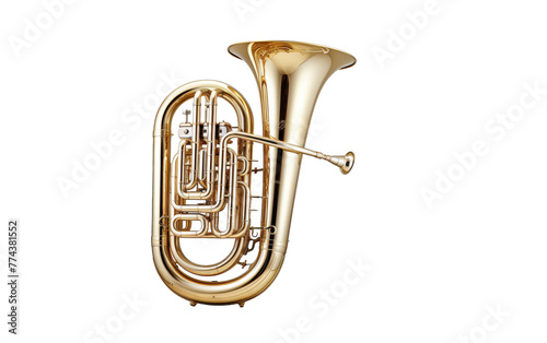 A stunning brass French horn rests gracefully against a pristine white background