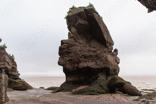 vue sur un rocher surélevé avec d'une marée basse en arrière plan lors d'une journée ennuagée