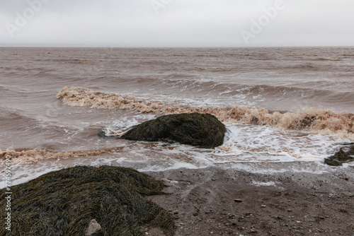 vue sur des roches recouvertes d'algues dans l'eau avec des vagues lors d'une journée grise