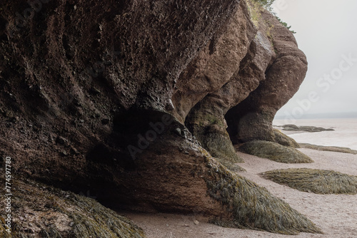 vue sur un rocher érodé avec la paroi recouverte d'algue en été avec une plage en bord de mer
