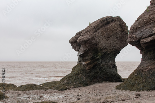 vue sur un rocher surélevé lors d'une marée basse lors d'une journée ennuagée