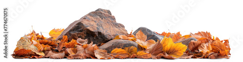 Rock Stone Surrounded by Leaves, png file of isolated cutout object