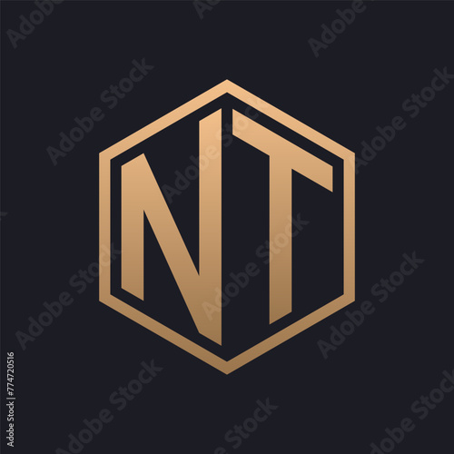 Elegant Hexagon Letter NT Logo Design. Initial Luxurious NT Logo Template