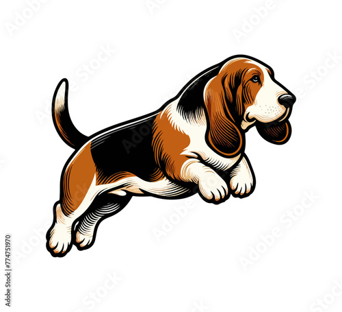 basset hound dog hand drawn vector illustration