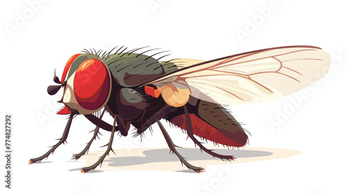 House fly on white background flat vector isolated