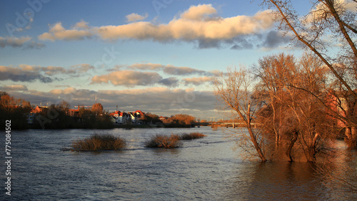 High water levels of the river Elbe in Magdeburg, Germany