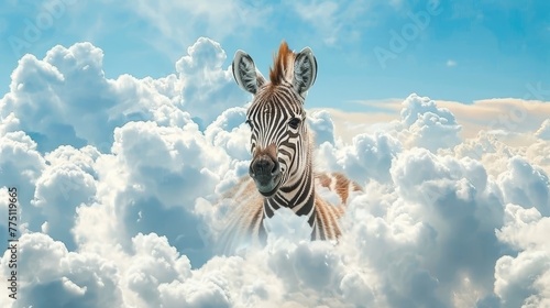  A zebra isn't able to stand in the clouds with its head protruding from the top, as zebras are terrestrial animals and cannot exist or move in cloud