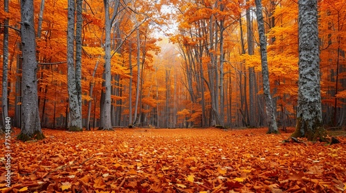 An autumn forest, with leaves turning golden and red, casting a serene and warm ambiance over the landscape The forest floor is carpeted with fallen leaves, adding to the seasons charm