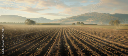 Freshly plowed field against the background of the sunset. Eco-friendly farming