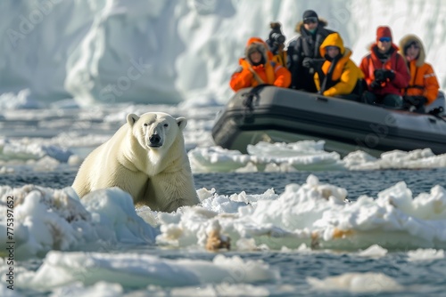 Polar bear watching: tourists observing a majestic polar bear in the Arctic