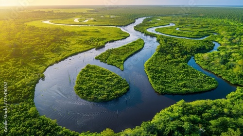 Aerial view of Congo River meandering through lush mangrove swamps, wild untouched nature landscape