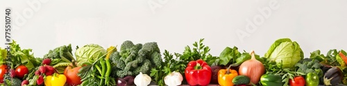 A group of fresh organic vegetables arranged neatly in a row on a white background. Banner. Copy space.