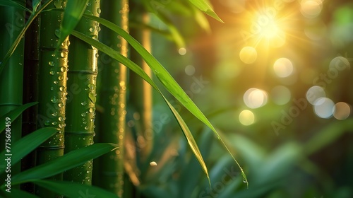 beautiful nature scene of close up bamboo tree with morning sunlight, Generative Ai