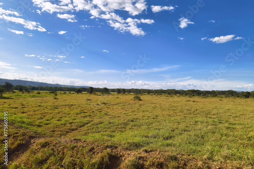 View on savanna plain against cloudy sky background. nakuru . National Park, Africa.