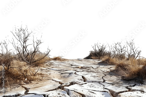 Dry and cracked soil in barren desert landscape isolated on transparent background. Lifeless wasteland due to climate change