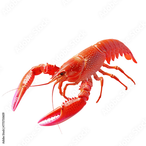 A large red lobster with a long tail on a Transparent Background