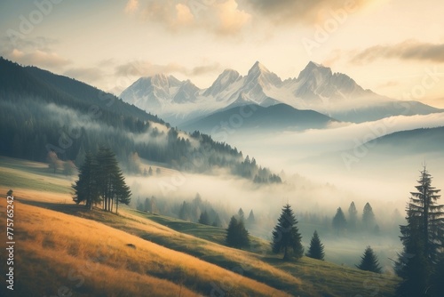A foggy mountain landscape with a few trees