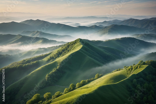 Green mountains in the morning mist. Aerial drone view