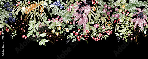 Seamless horizontal pattern of forest berries. Cowberry, sea buckthorn, rose hips, ligustrum, hawthorn, elderberry, paris, blackberry, euonymus, belladonna, strawberry, blueberry, cloudberry