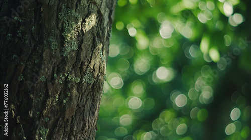 Spring concept background. Closeup view of real tree trunk isolated on green blurry natural leaves bokeh background.