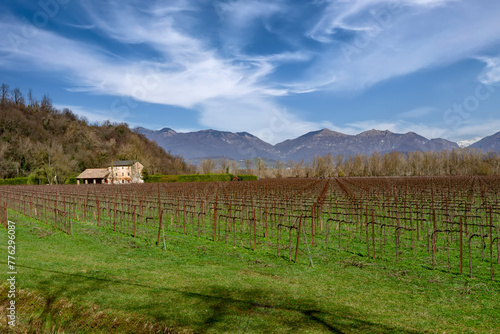 Prealpi Trevigiane, colli del prosecco