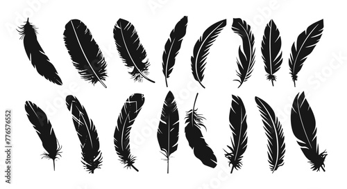 Variety of black silhouette feathers set vector art collcetion