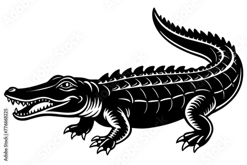 crocodile isolated on black