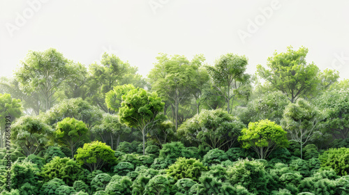 Vibrant green forest isolated on white background, 3D rendering