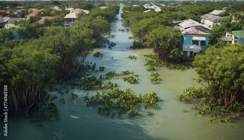 Flooded urban neighborhood with houses half submerged and mangroves flourishing in the streets, the effects of climate change, a future without humans