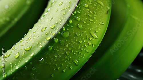 fresh closeup banana fruit