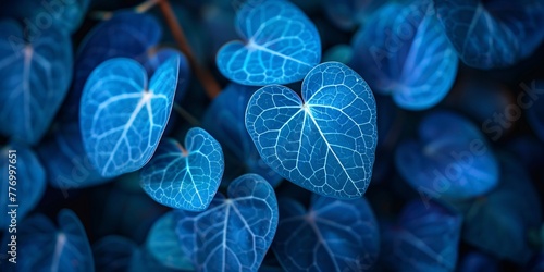 The Blue Leaf Heart A Visual Metaphor for Love and Nature Generative AI