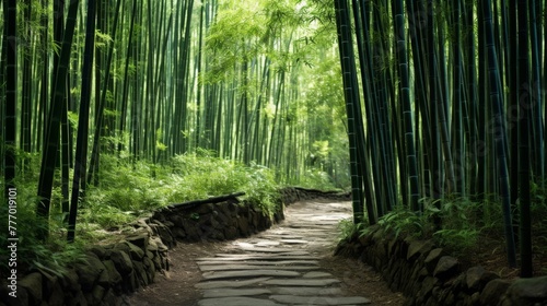 A serene and peaceful landscape of a tranquil bamboo forest with green leaves and tall stems