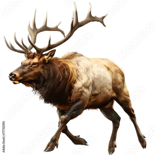 elk in motion isolated white background