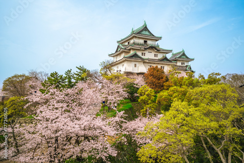 Wakayama Castle, a Japanese castle located in Wakayama city, Wakayama Prefecture, Japan.