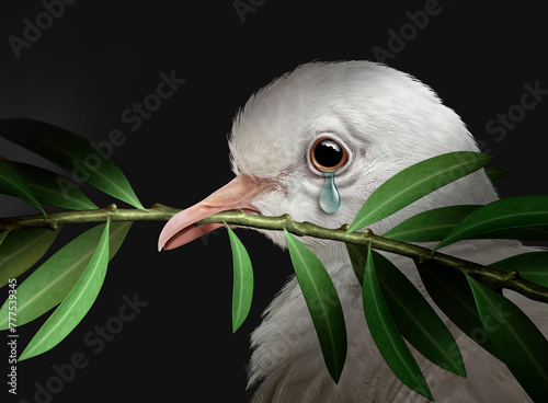 Failure of Diplomacy as failed peace talks resulting in the tragedy of war as a white dove with an olive branch crying with tears of sadness representing failed diplomatic efforst.