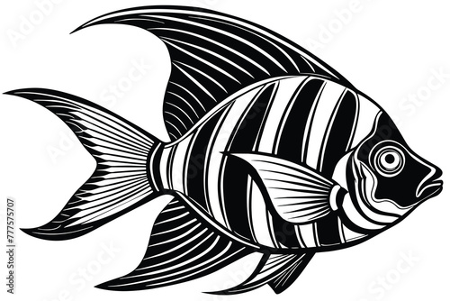 angel fish black and white vector